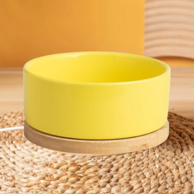 Gamelle pour Chat - WarmSipCatBowl™ - Jaune