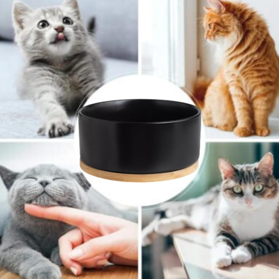 Gamelle pour Chat - WarmSipCatBowl™ - Noir