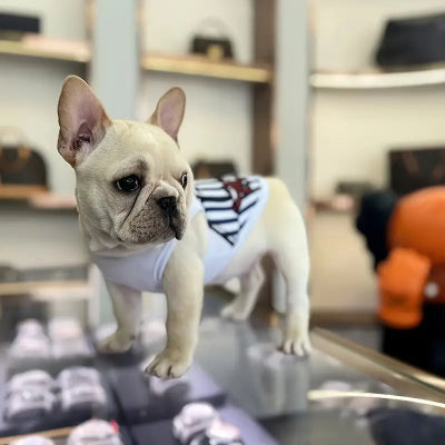 VETEMENT POUR CHIEN - ChicouPet™ - Bleu Rayé