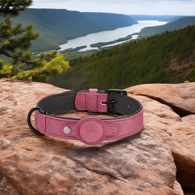 Collier pour Chien - DogGuard™ - Rose