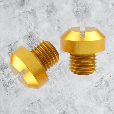 Vis - MotoAnti-RustScrews™ - Or