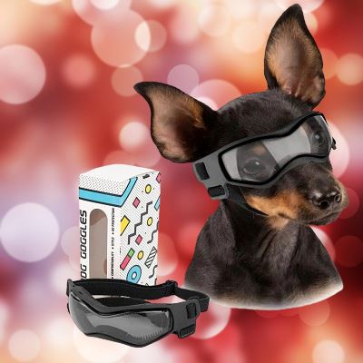 DogGoggles™