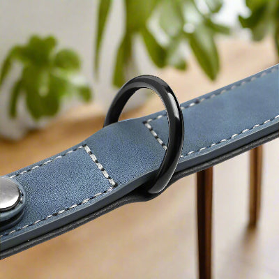 Collier pour Chien - DogGuard™ - Bleu
