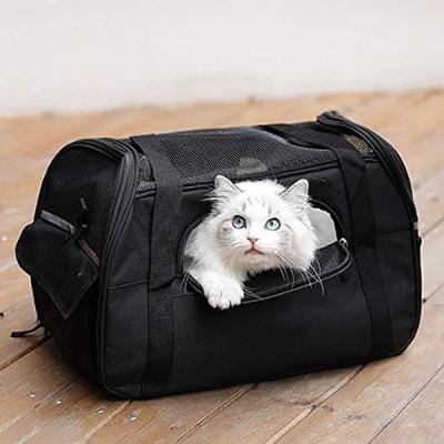 TravelPaws™ - Noir