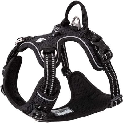 Harnais - PullFree™ - Noir