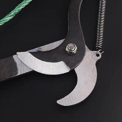 Coupe Branche Téléscopique - BranchCutter™ - Une Roue Noir