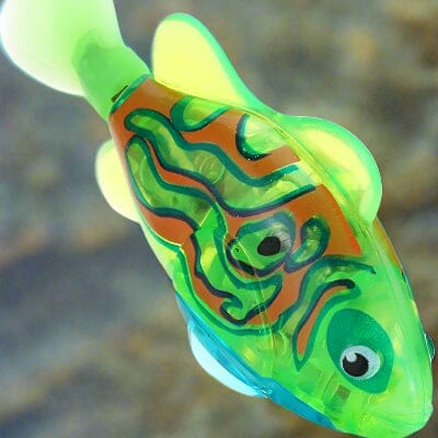 Jouet Interactif Chat  - CatchyFish™ - Vert