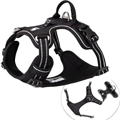 Harnais - PullFree™ - Noir