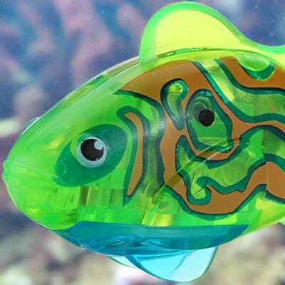 Jouet Interactif Chat  - CatchyFish™ - Vert