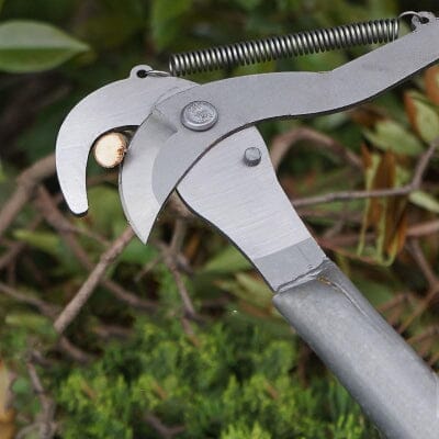 Coupe Branche Téléscopique - BranchCutter™ - Deux Roues Noir