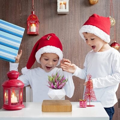 Pot de Fleurs Intérieur - LevitatingPot™ - Blanc&marron clair