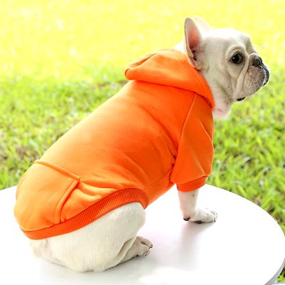 pull pour chien - PetDogClothes™ - Orange