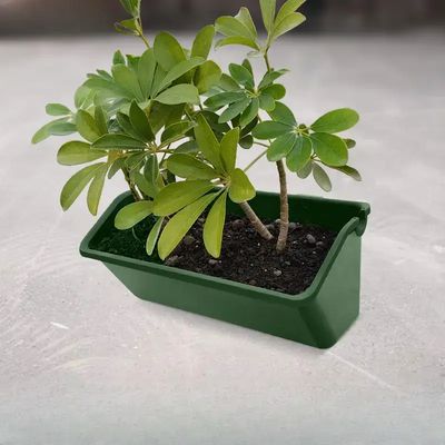Jardinière Suspendue - GreenVerticalPlanter™