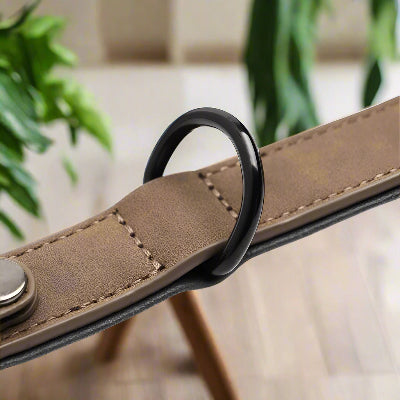 Collier pour Chien - DogGuard™ - Marron