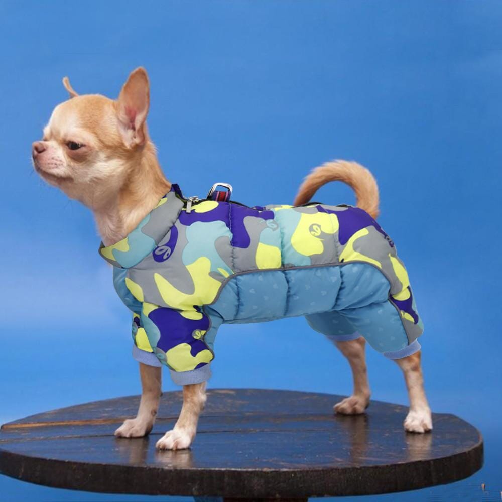 Doudoune pour Chien - WinterDogWarmJacket™ - Bleu Clair