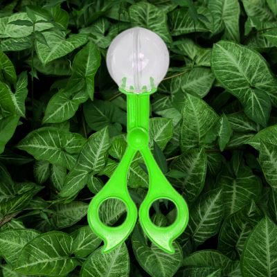 ExplorationToy™ - Vert
