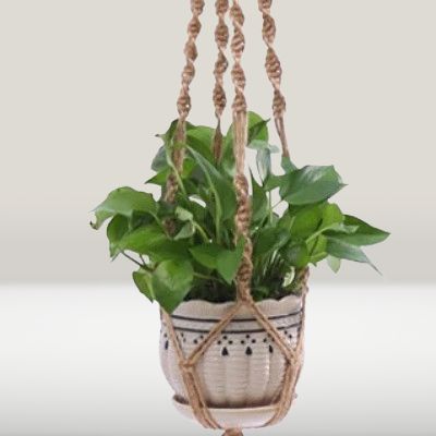 Suspension Macramé - PlantHanger™ - Style B