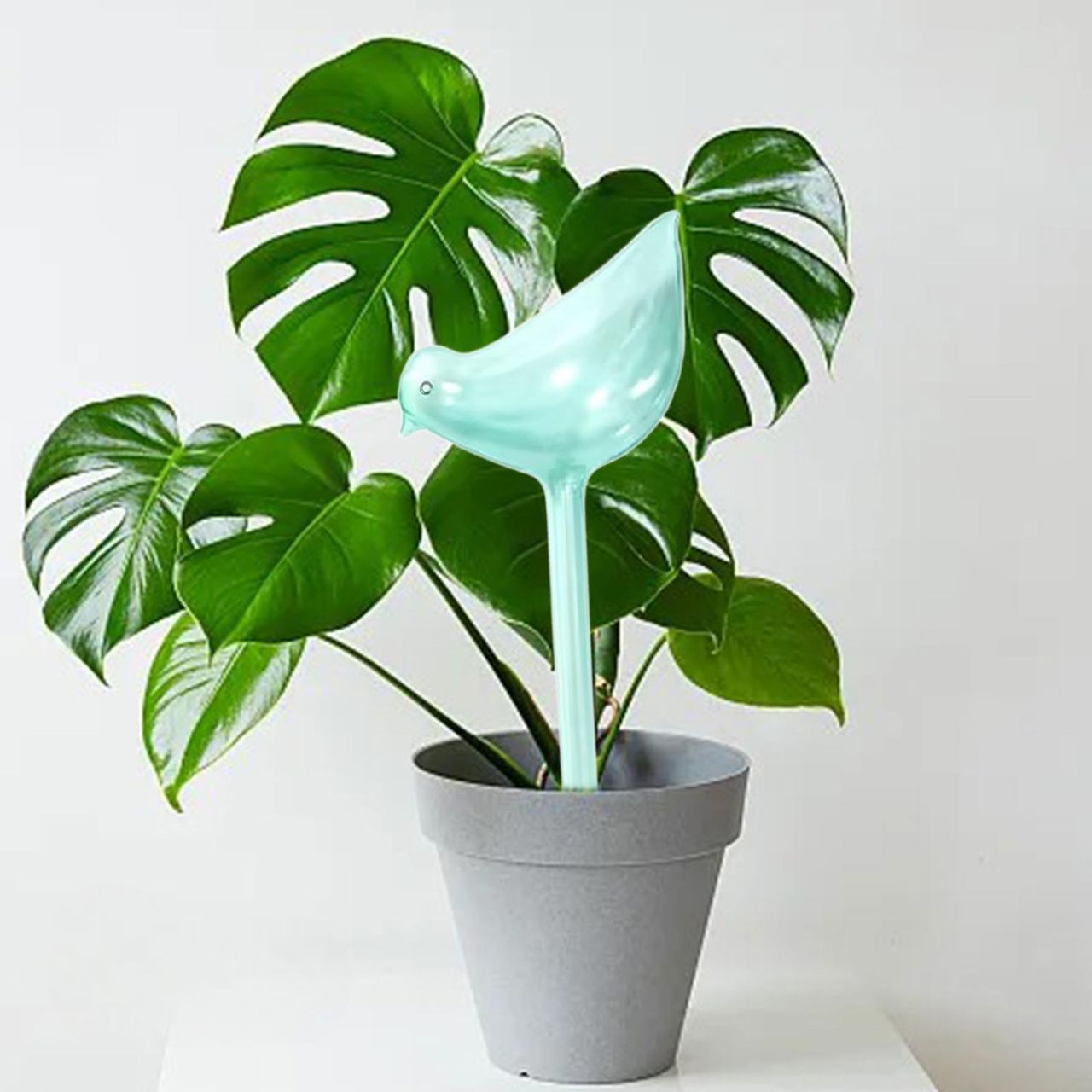 PlantWateringBulbs™ - Bleu