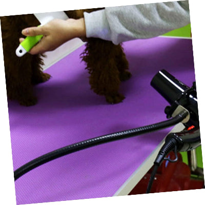 SUPPORT SECHE CHEVEUX - PetHoldMaster™