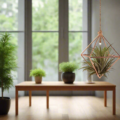 Porte Plante - AirBloom™ - Rubis bronze