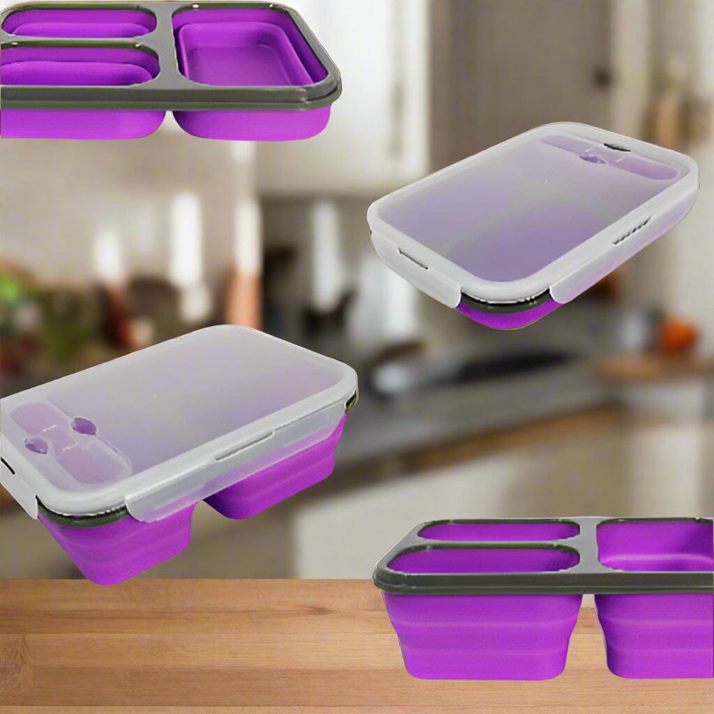Boite de Conservation - BentoGo™ - Violet