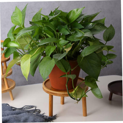 Support pour Pot de Fleur - VaseLift™ - Bois