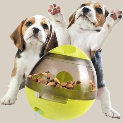 Distributeur de Croquettes pour Chien - FeedMaze™ - Vert