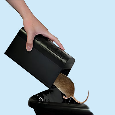 Piege a Souris - RodentZap™ - Noir