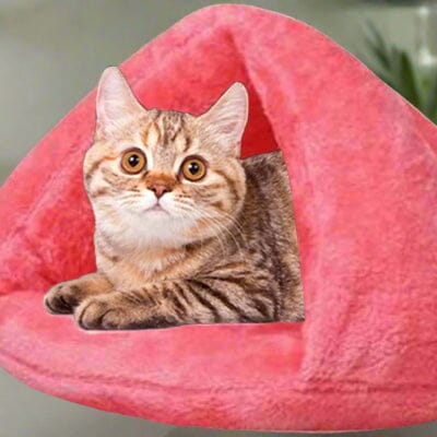 Lit pour Chat - SnugHut™ - Rose