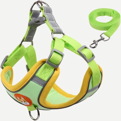 Harnais - PuppyTrek™ - Vert
