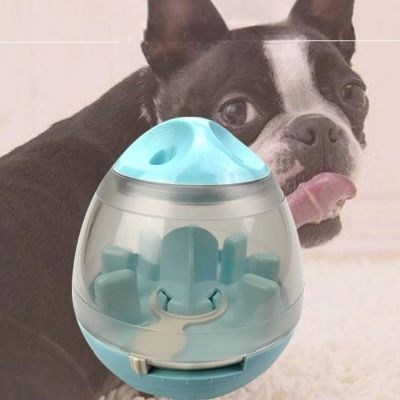 Distributeur de Croquettes pour Chien - FeedMaze™ - Bleu