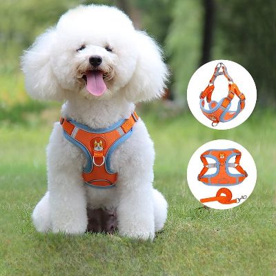 Harnais - PuppyTrek™ - Orange
