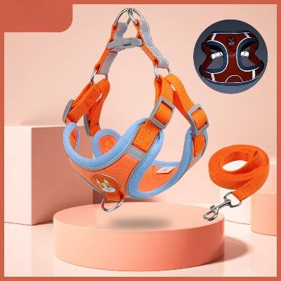 Harnais - PuppyTrek™ - Orange