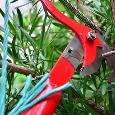 Coupe Branche Téléscopique - BranchCutter™ - Une Roue Rouge