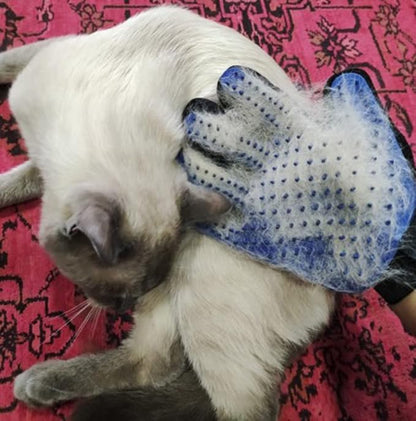 Gant de Toilettage - FurEase™ - Bleu