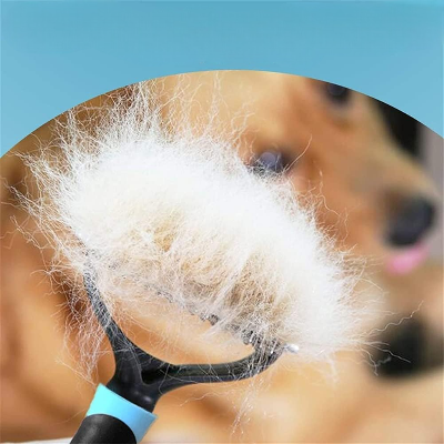 Brosse pour Chien - TangleFree™ - Bleu