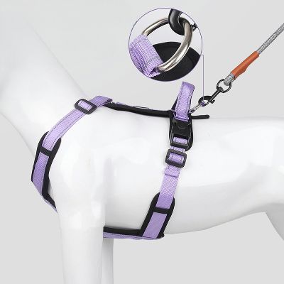 Harnais - SafePup™ - Mauve