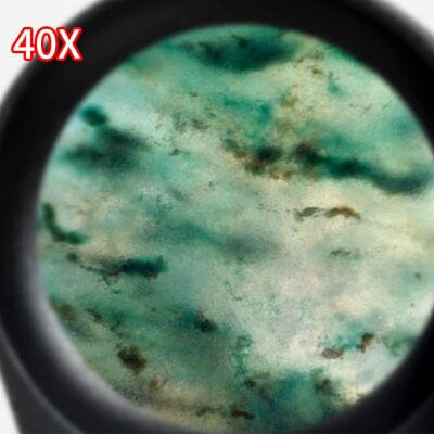 Loupe - FoldScope™ - Noir 40X