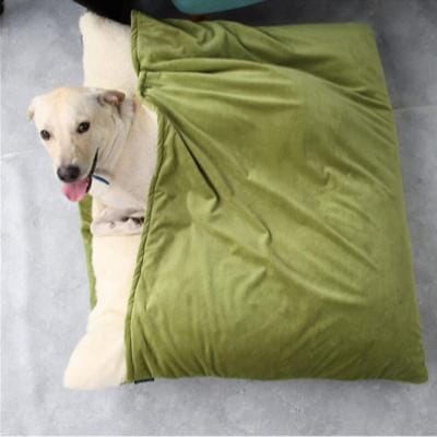 DogHaven™ - Vert