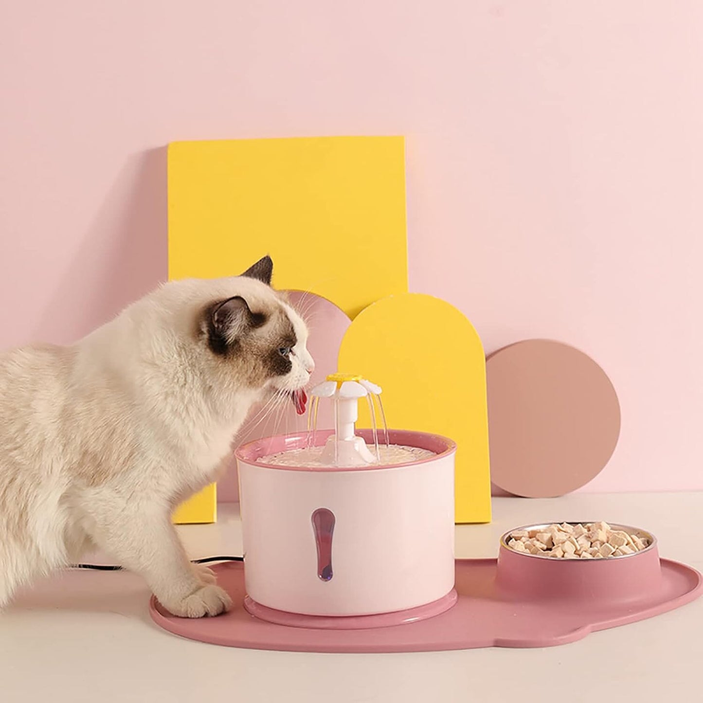 Fontaine à Eau pour Chat - CatLEDFountain™ - Rose