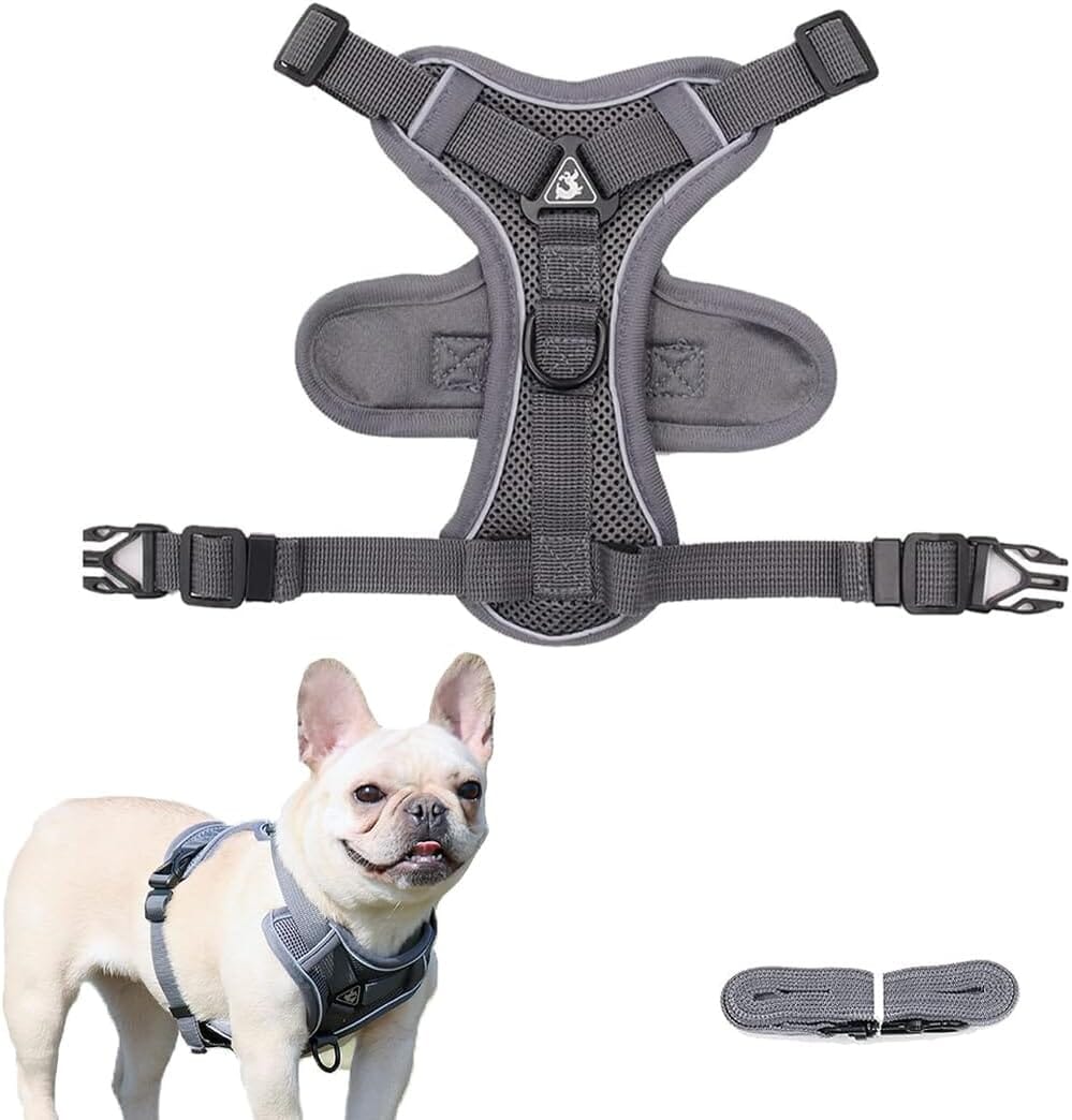 Harnais Petit Chien - DogHarnessVest™ - Gris