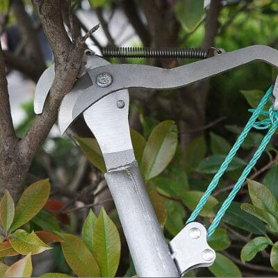 Coupe Branche Téléscopique - BranchCutter™ - Deux Roues Noir