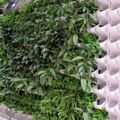 Jardinière Murale - GardenWallPlanter™ - Blanc