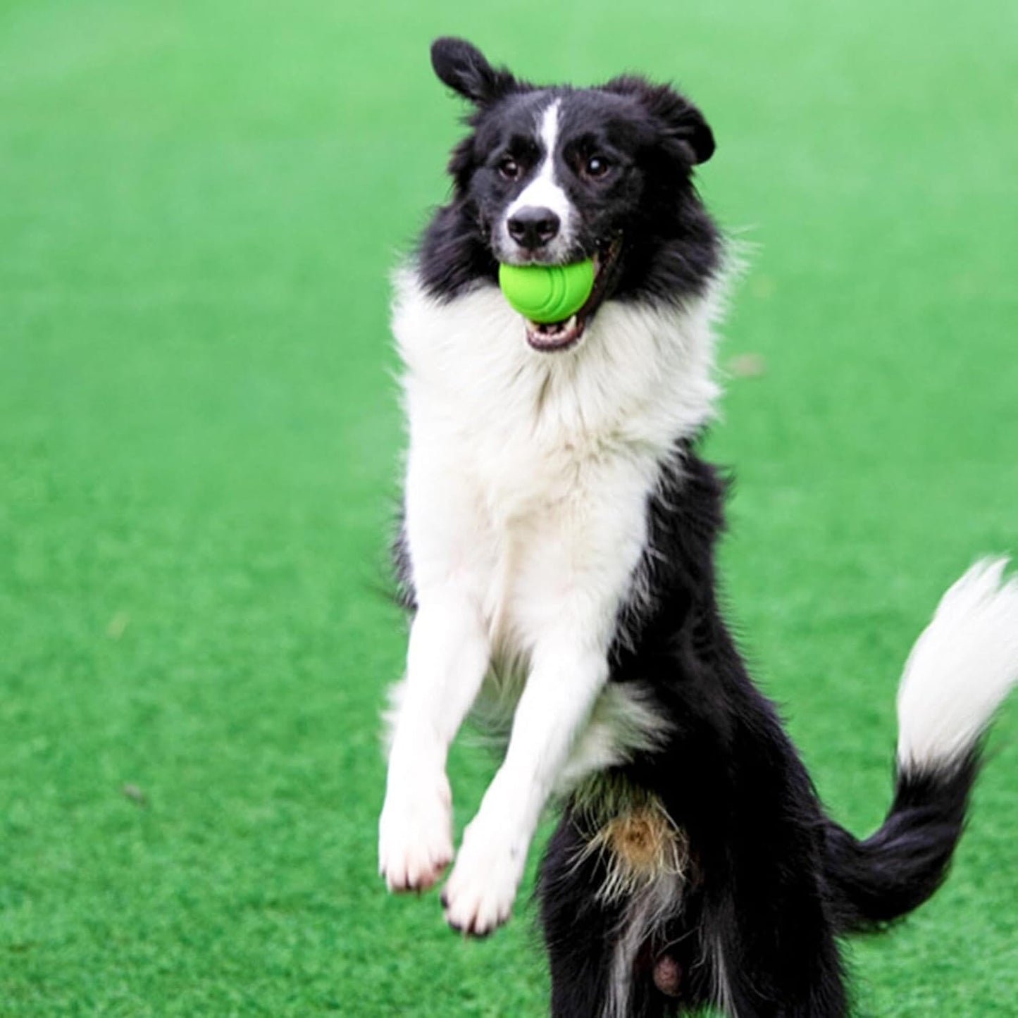 Balle pour Chien - RubberChewToys™ - Vert