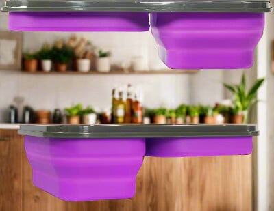 Boite de Conservation - BentoGo™ - Violet