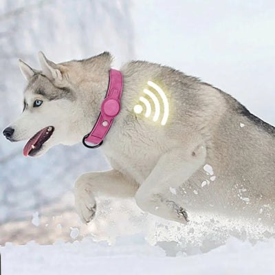 Collier pour Chien - DogGuard™ - Rose