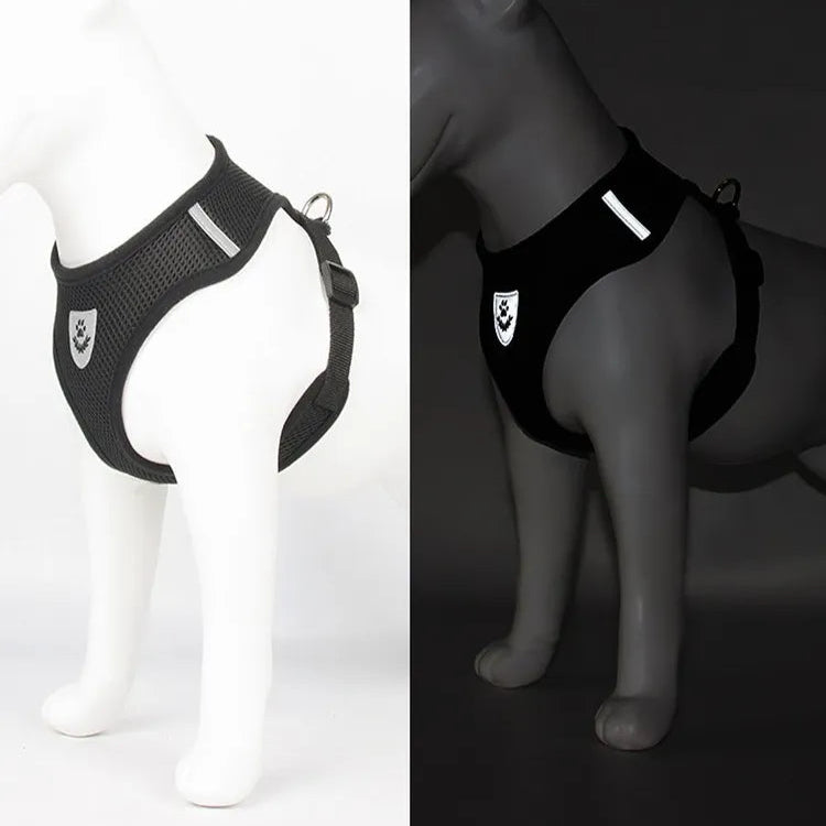 Harnais Petit Chien - DogHarnessLeadLeash™ - Noir