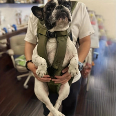 Sac de Transport pour Chien - WoofWalk™ - Vert