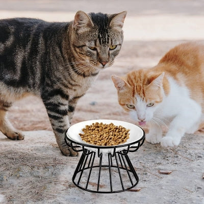Gamelle Chat - CeramicRaisedCatBowl™ - Noir