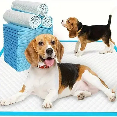 Tapis Absorbant Chien - DogSuperAbsorbentPads™